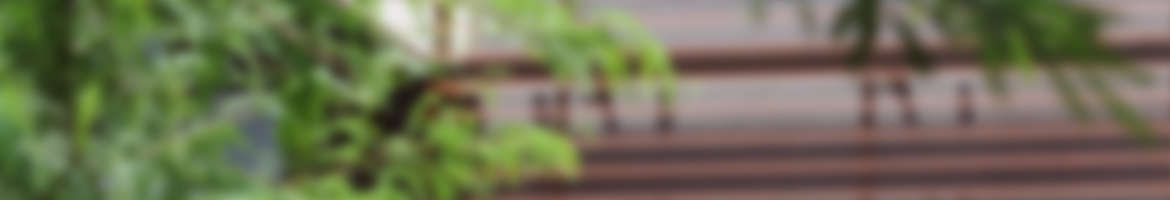 Projects hero banner. Blurry image of trees